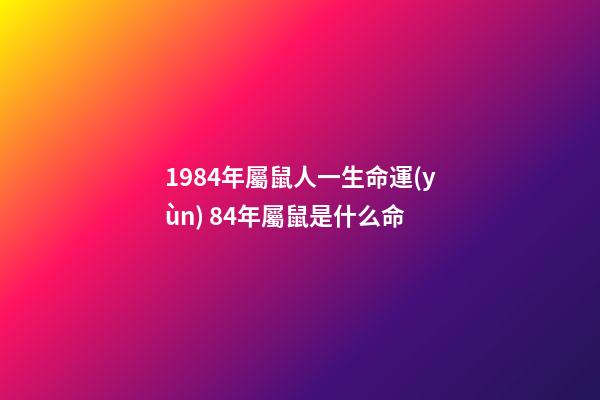 1984年屬鼠人一生命運(yùn) 84年屬鼠是什么命-第1張-觀點(diǎn)-玄機(jī)派
